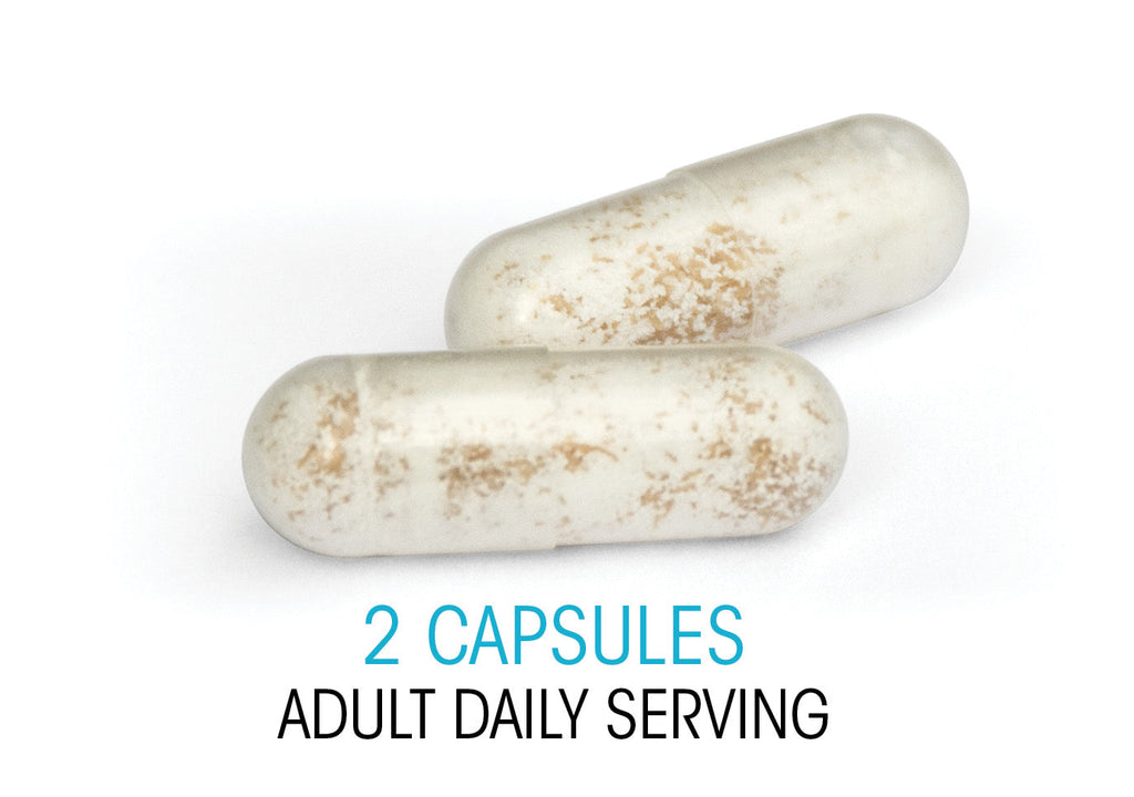 Ultimate Probiotic Supplement - 60 Capsules per Bottle