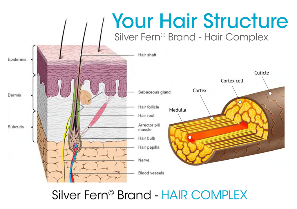 Hair Complex