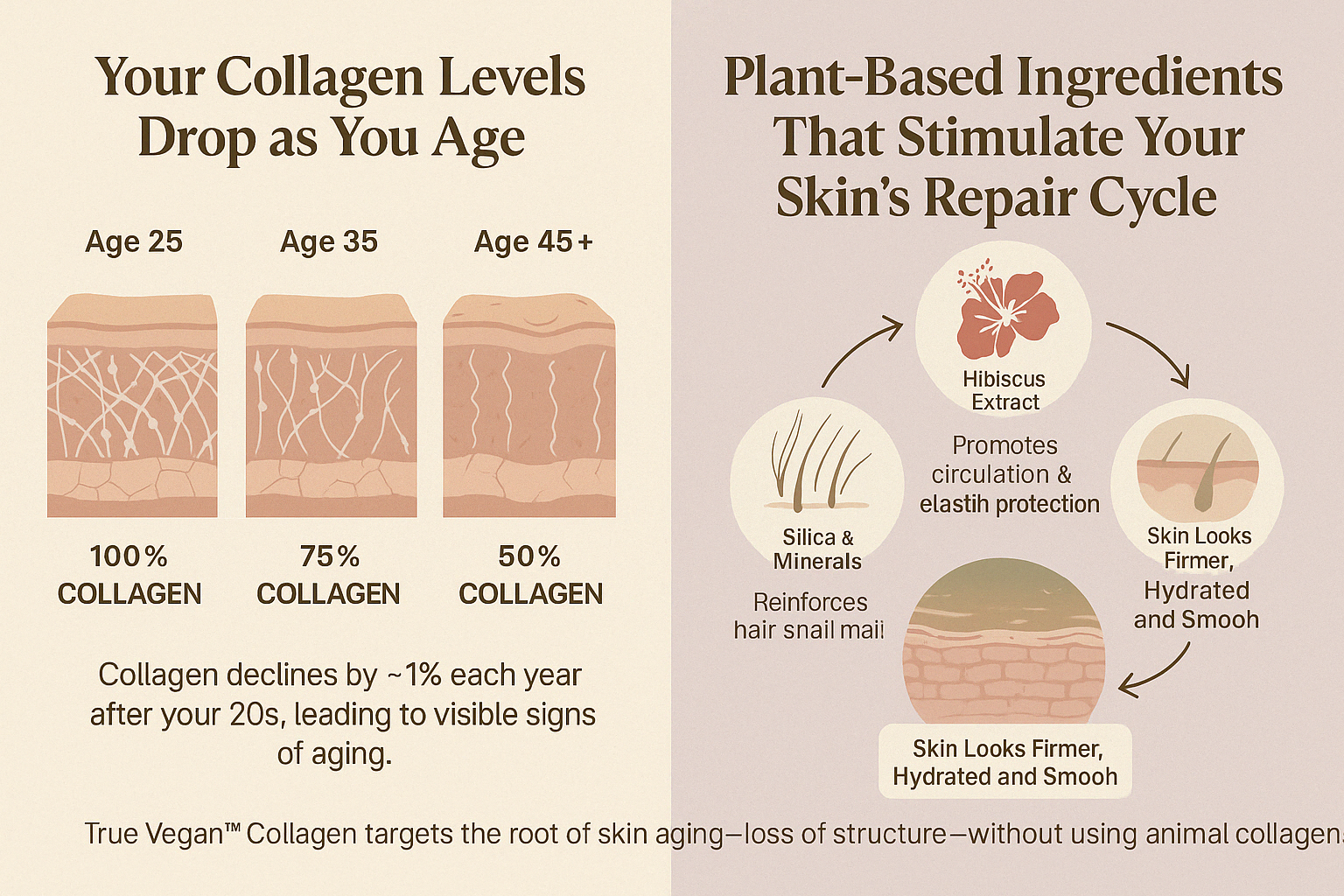 Veggimins True Vegan Collagen, 2oz
